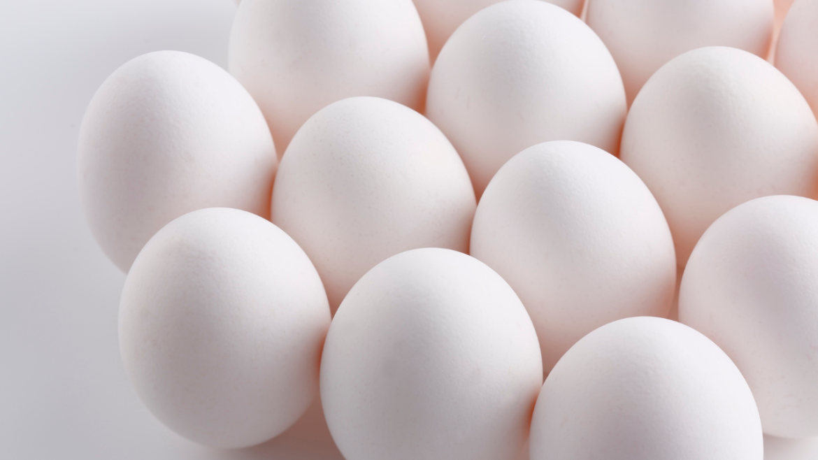 egg