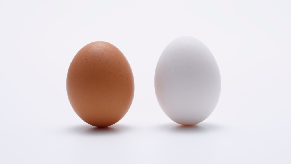 egg